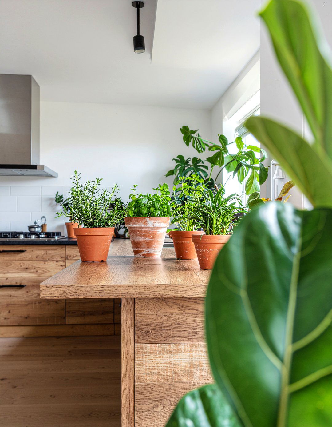 Add Indoor Kitchen Plants - 30 quick kitchen update ideas