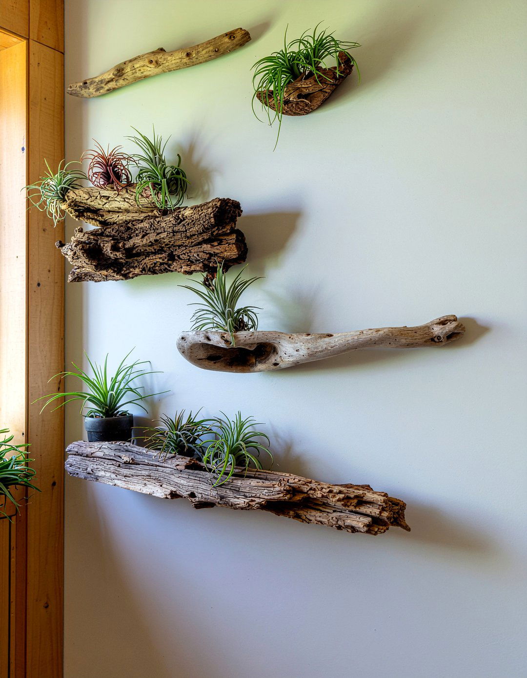 Air Plants On Wall - 30 bathroom plant ideas