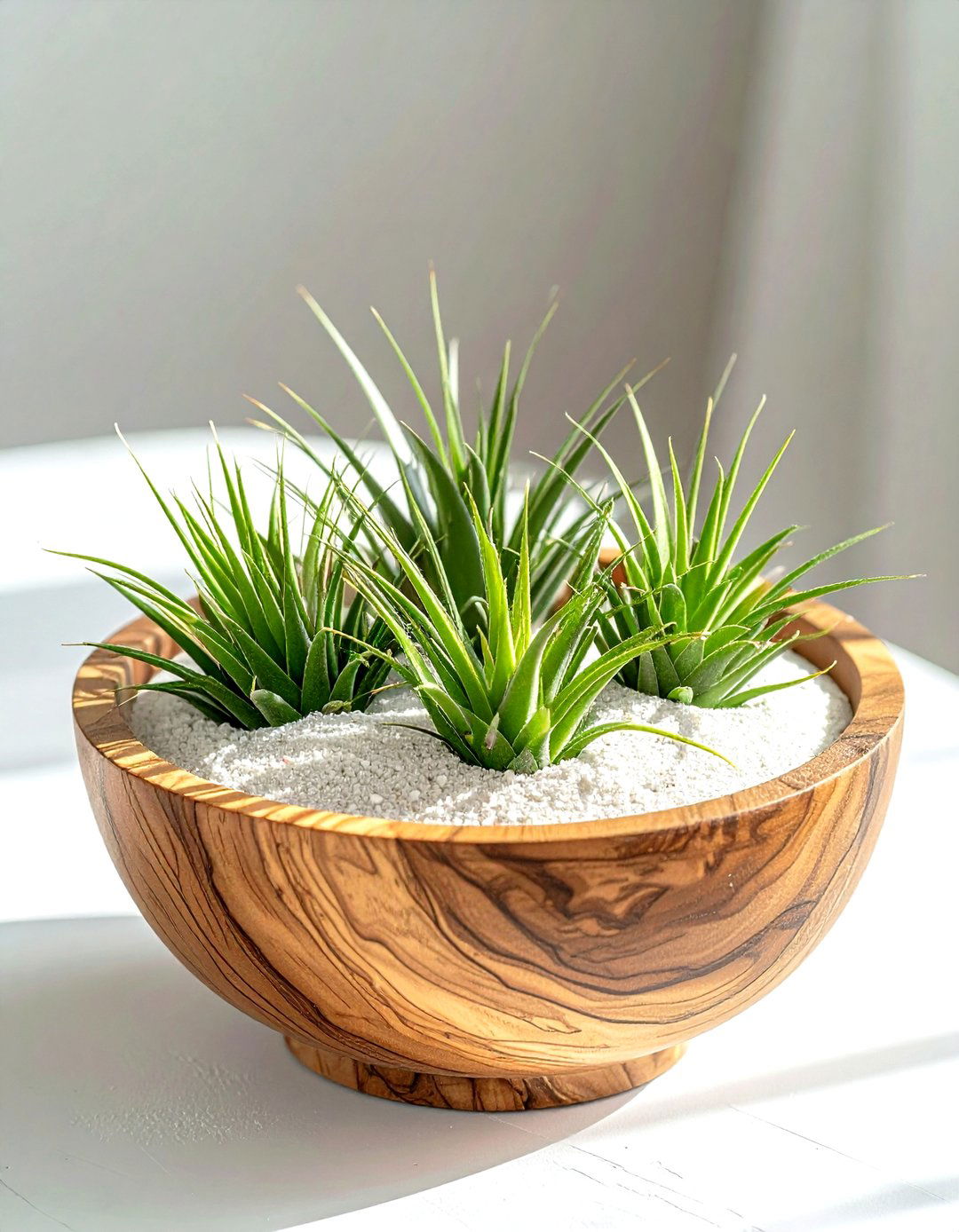 Air plant dough bowl - 30 dough bowl ideas