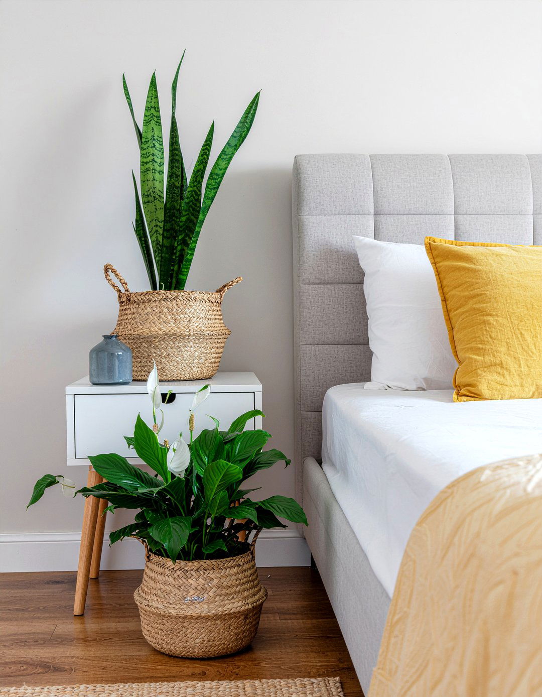 Air purifying bedroom plants - 30 sleep-friendly bedroom ideas