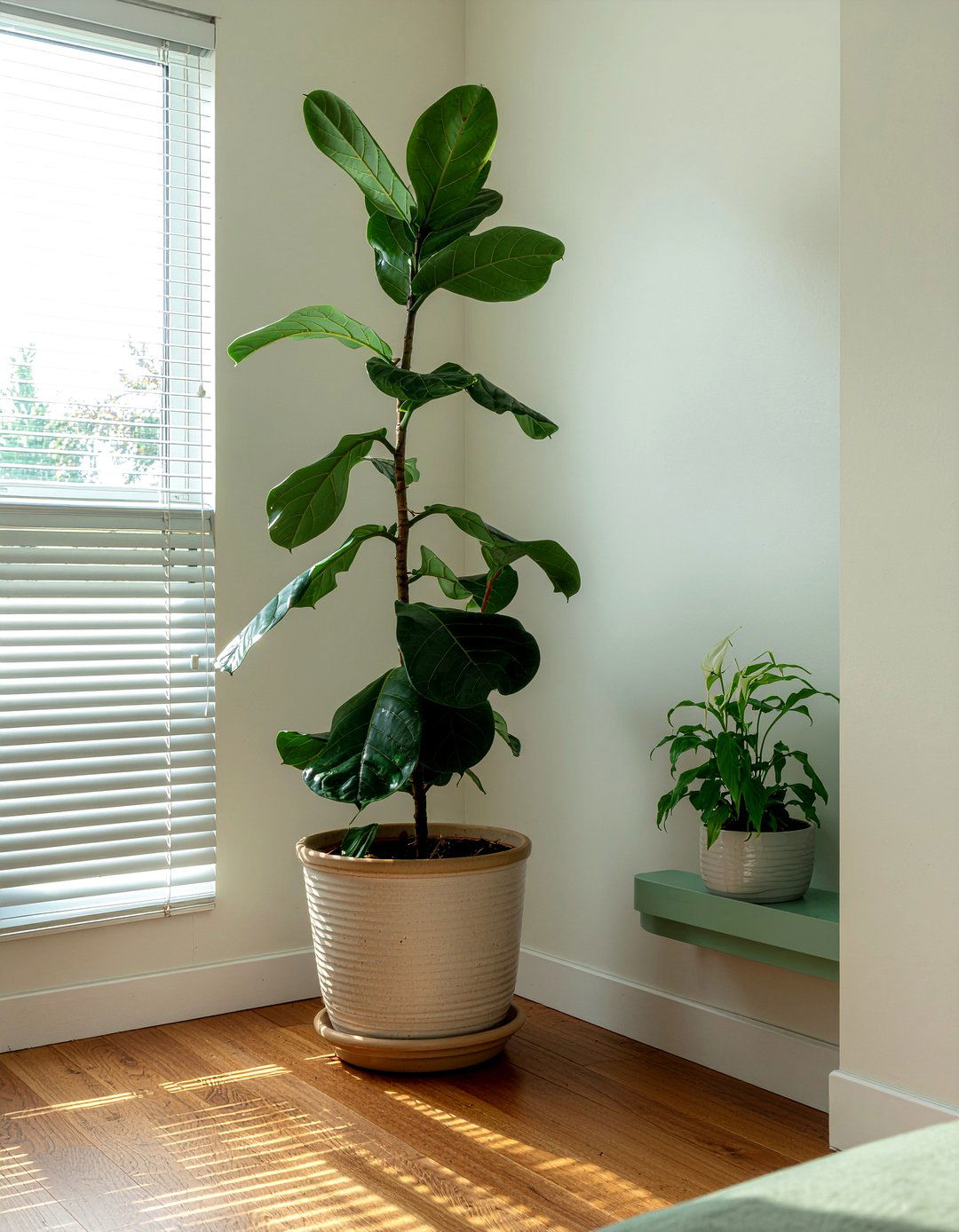 Air purifying plants - 30 better sleep bedroom ideas