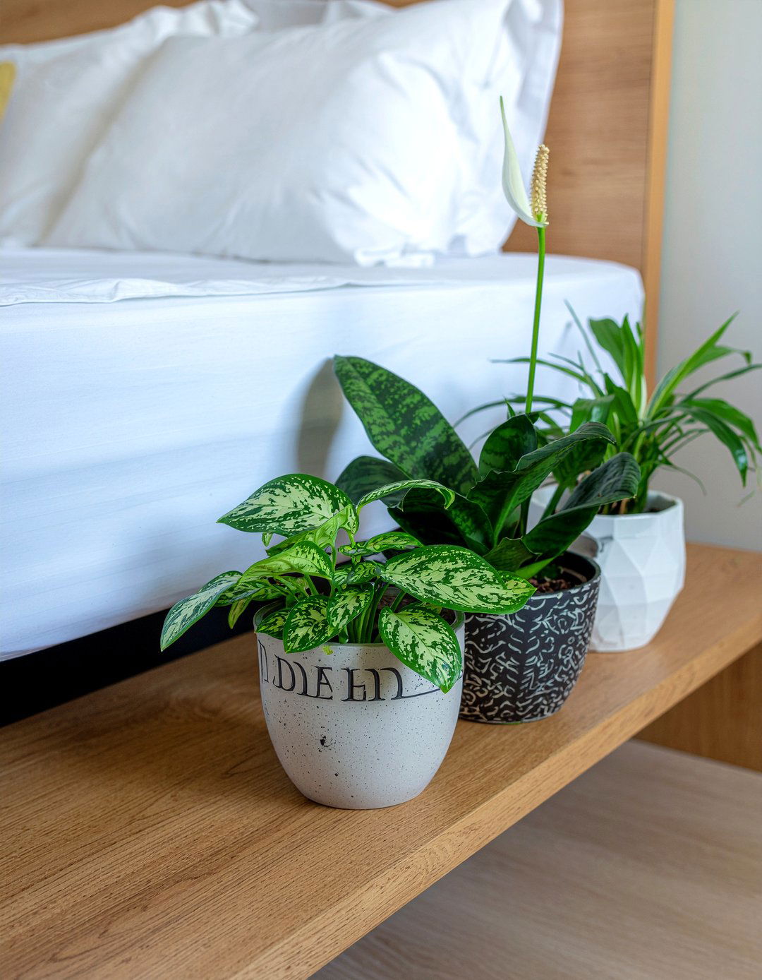 Air purifying plants - 30 wellness bedroom ideas