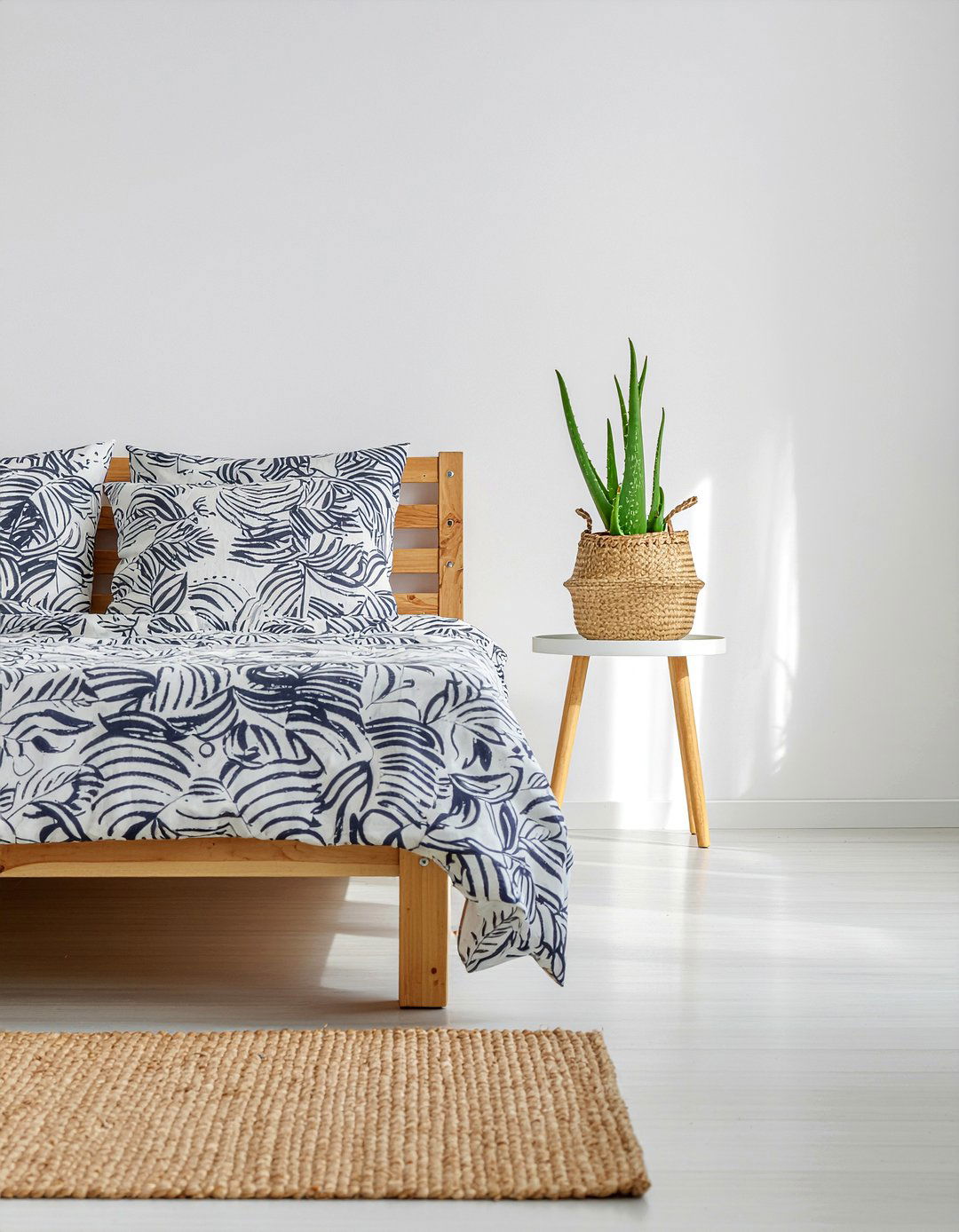 Aloe Vera - 30 bedroom indoor plants