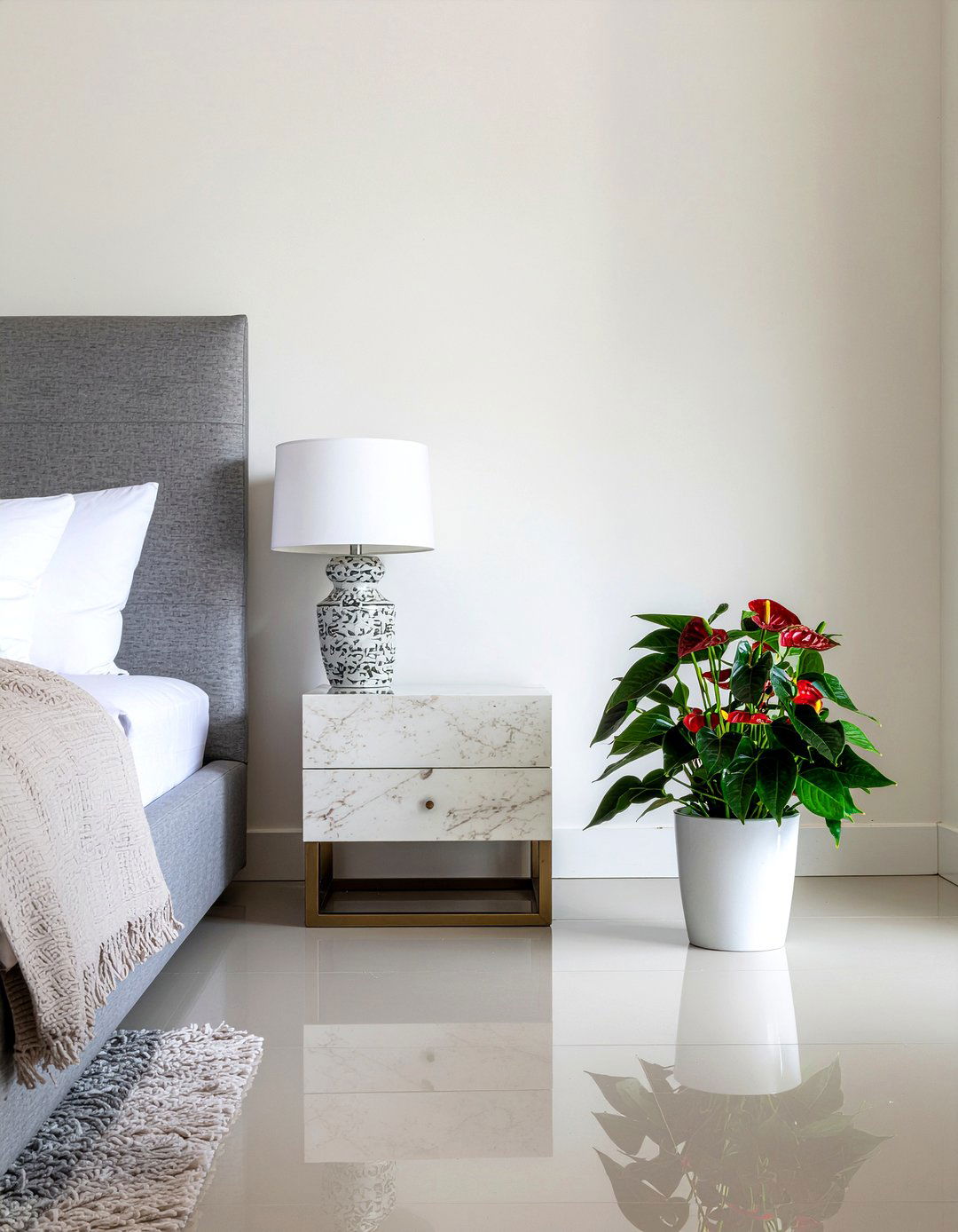 Anthurium - 30 bedroom indoor plants