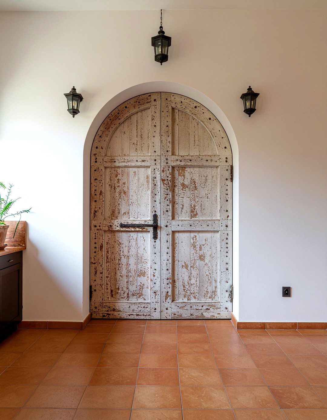 Arched Barn Door - 30 kitchen barn door ideas