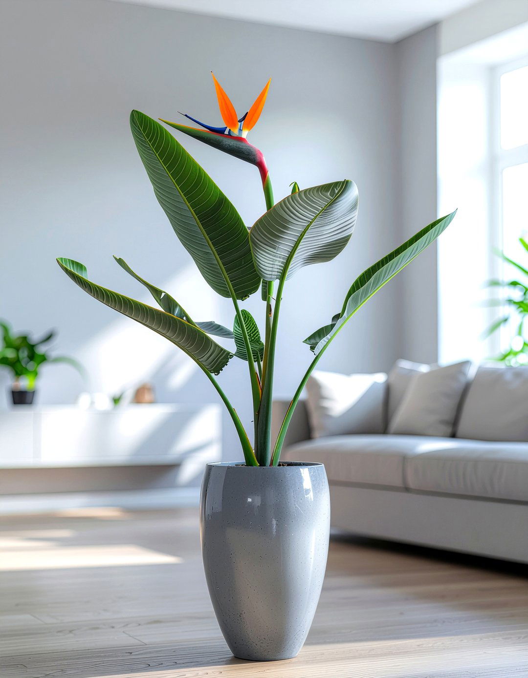 Artificial bird of paradise - 30 faux plant ideas