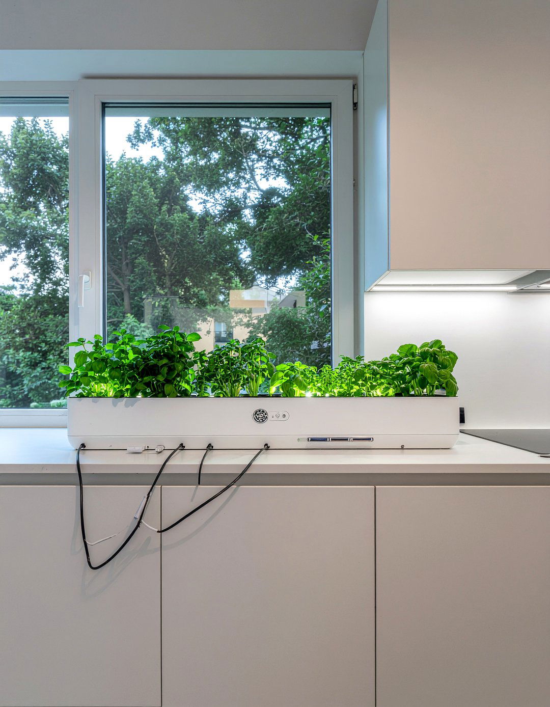 Automatic herb garden kitchen window - 30 kitchen window herb garden ideas