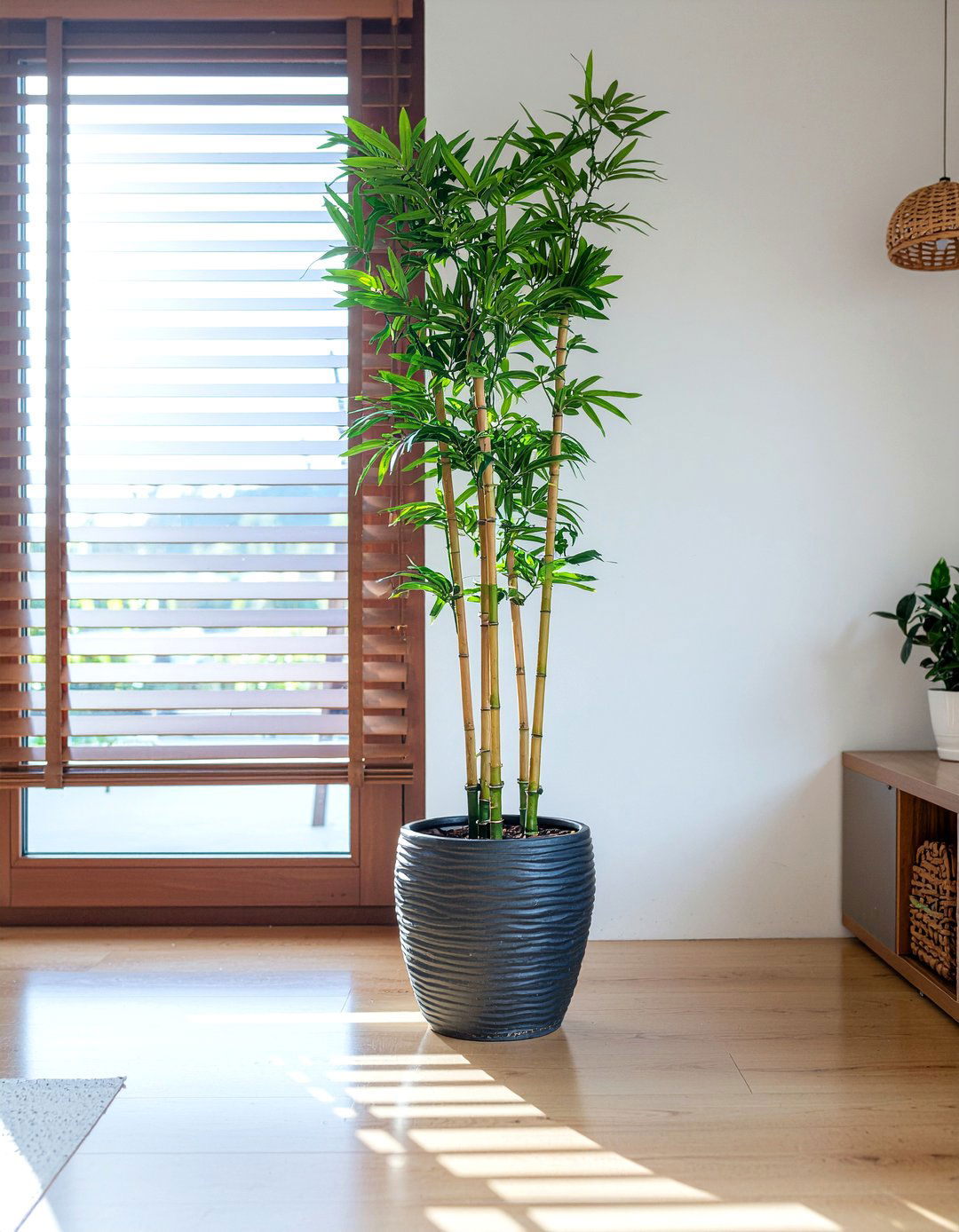 Bamboo indoor plants - 30 bamboo living room ideas