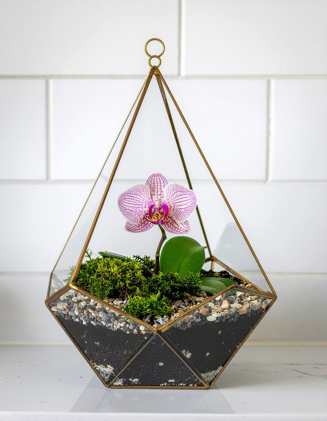 Bathroom orchid terrarium - 30 bathroom orchid ideas