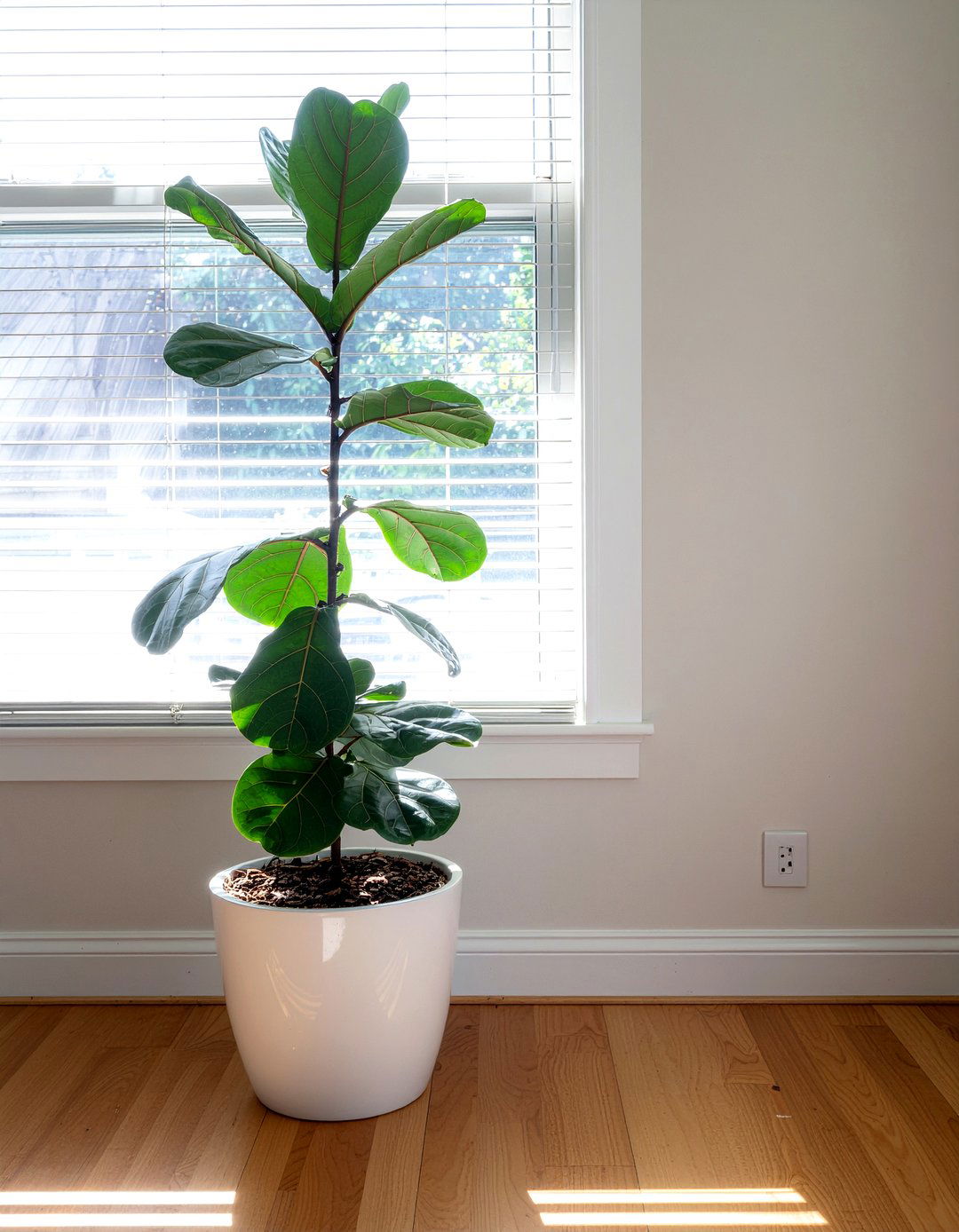 Bedroom indoor plant - 30 contemporary bedroom ideas