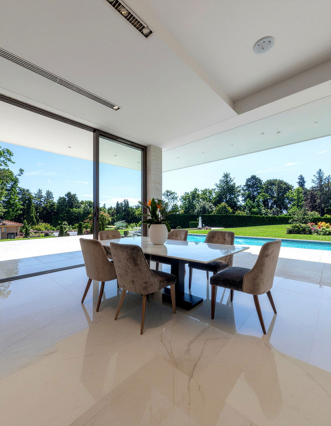 Bird Of Paradise - 30 dining room plant ideas