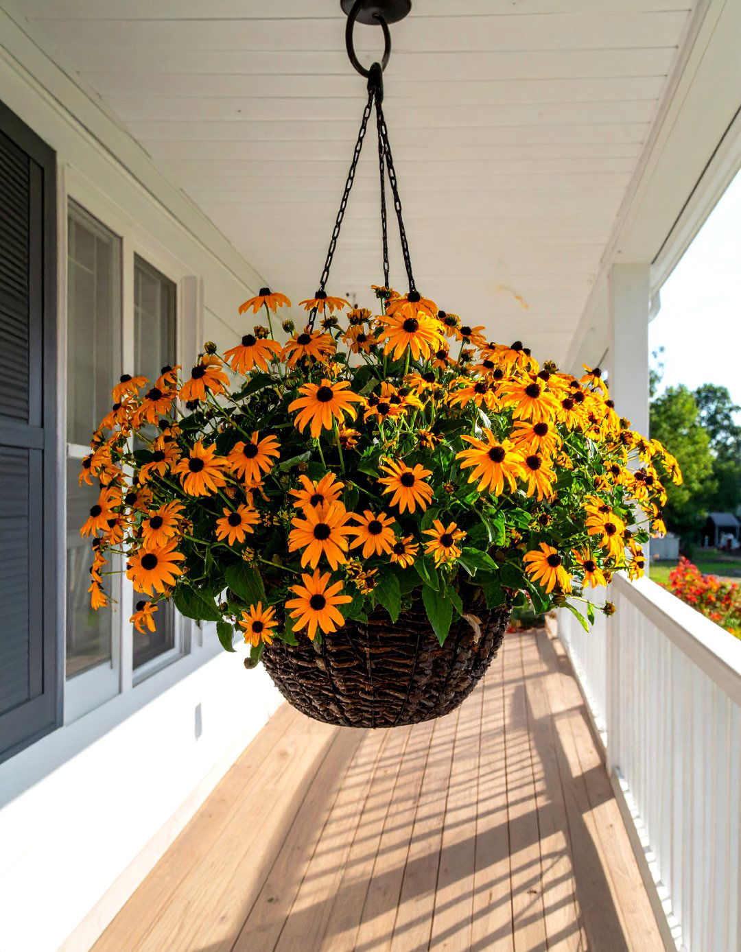 30 Trailing Plant Ideas to Add Life to Your Indoor Space