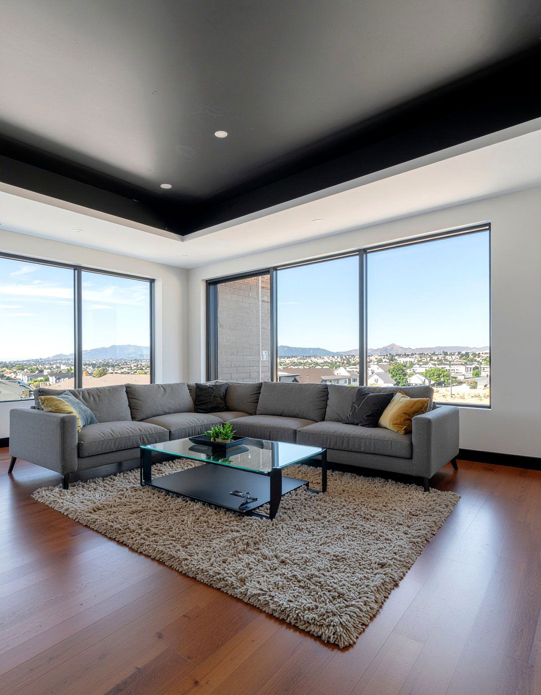 Black Tray Ceiling - 30 living room tray ceiling ideas