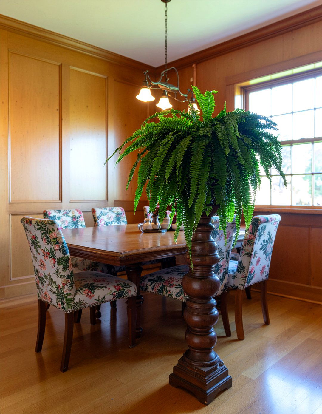 Boston Fern - 30 dining room plant ideas