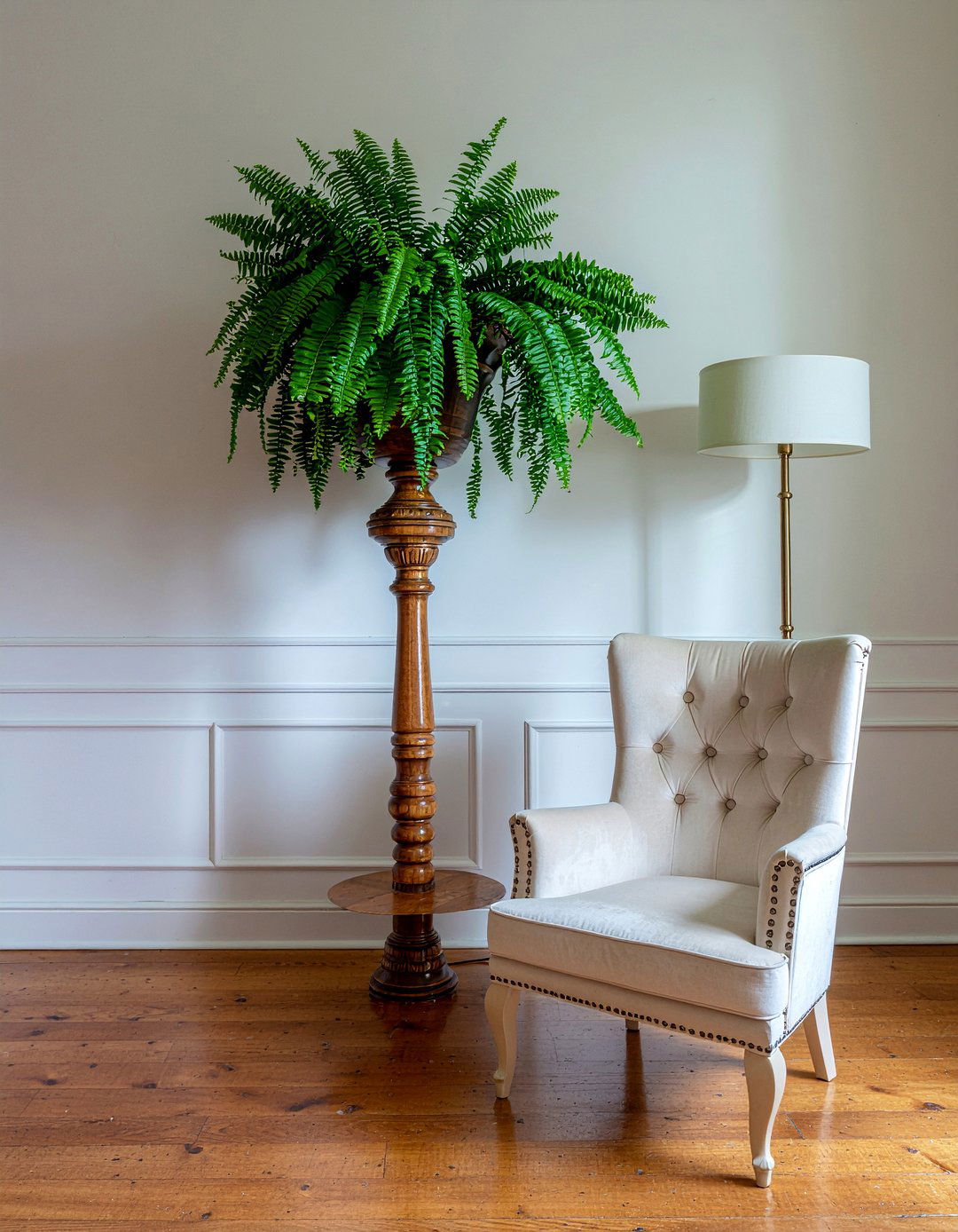 Boston fern - 30 living room low light plants