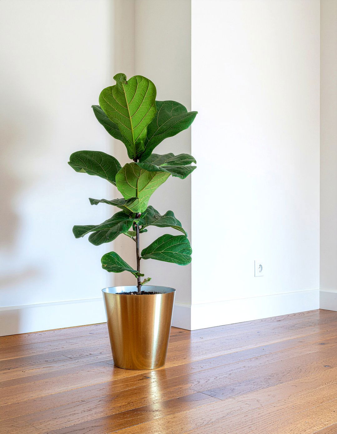 Brass Planter - 30 brass accent living room ideas