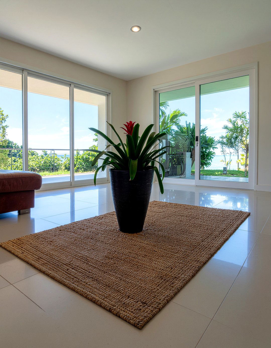 Bromeliad - 30 living room low light plants