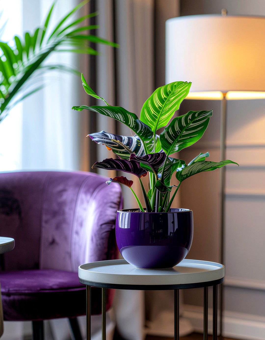 Calathea plant patterned leaves dining room - 30 dining room potted plant ideas
