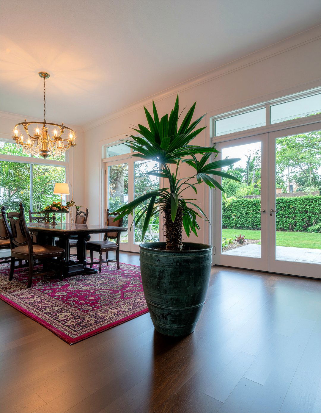 Cast Iron Plant - 30 dining room plant ideas