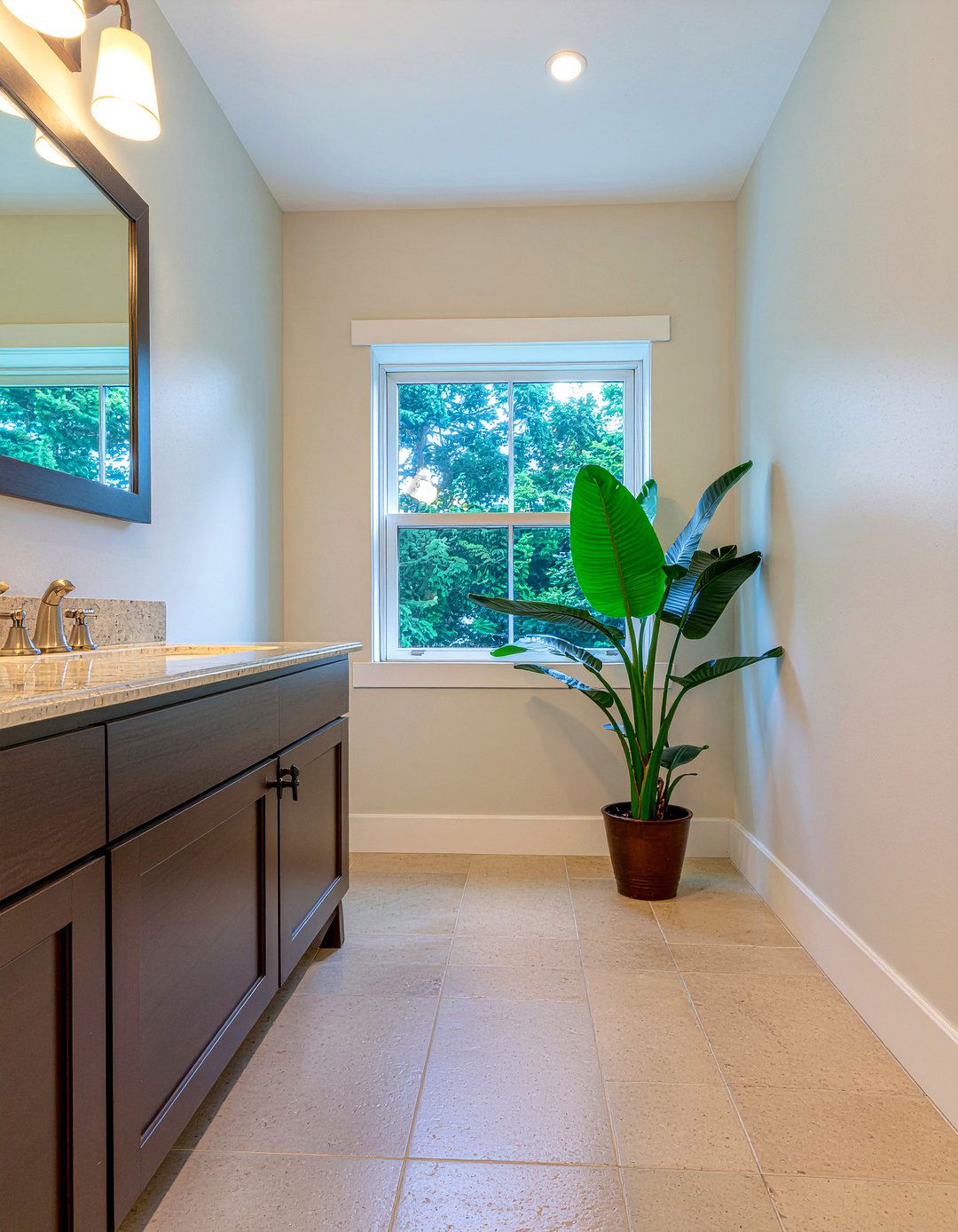 Cast Iron Plant Corner - 30 bathroom plant ideas