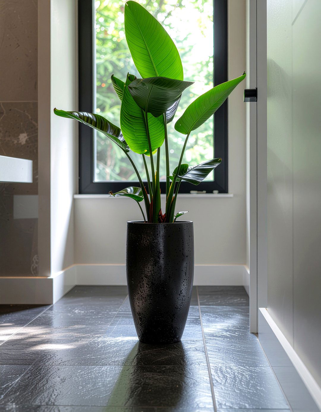 Cast iron plant - 30 bathroom plants that thrive in humidity