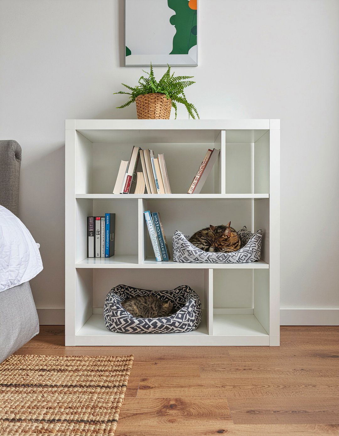 Cat Cubby Bookshelf - 30 cat living room ideas