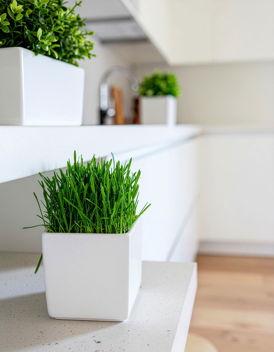Cat Grass Planter - 30 cat living room ideas