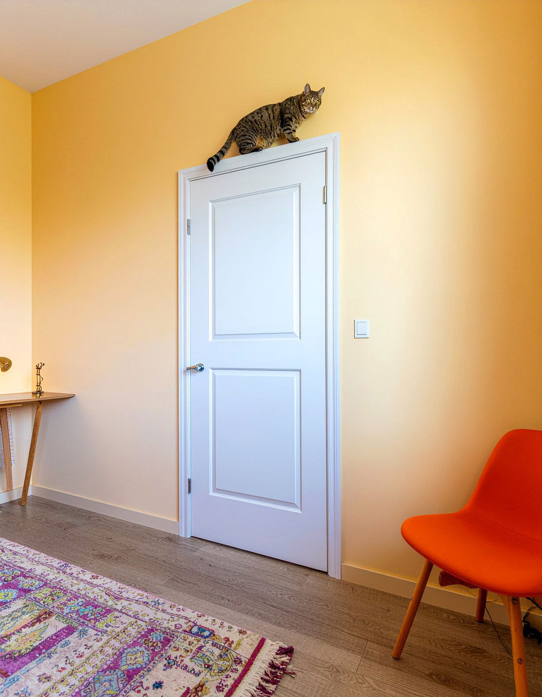 Cat Over Door Perch - 30 cat living room ideas