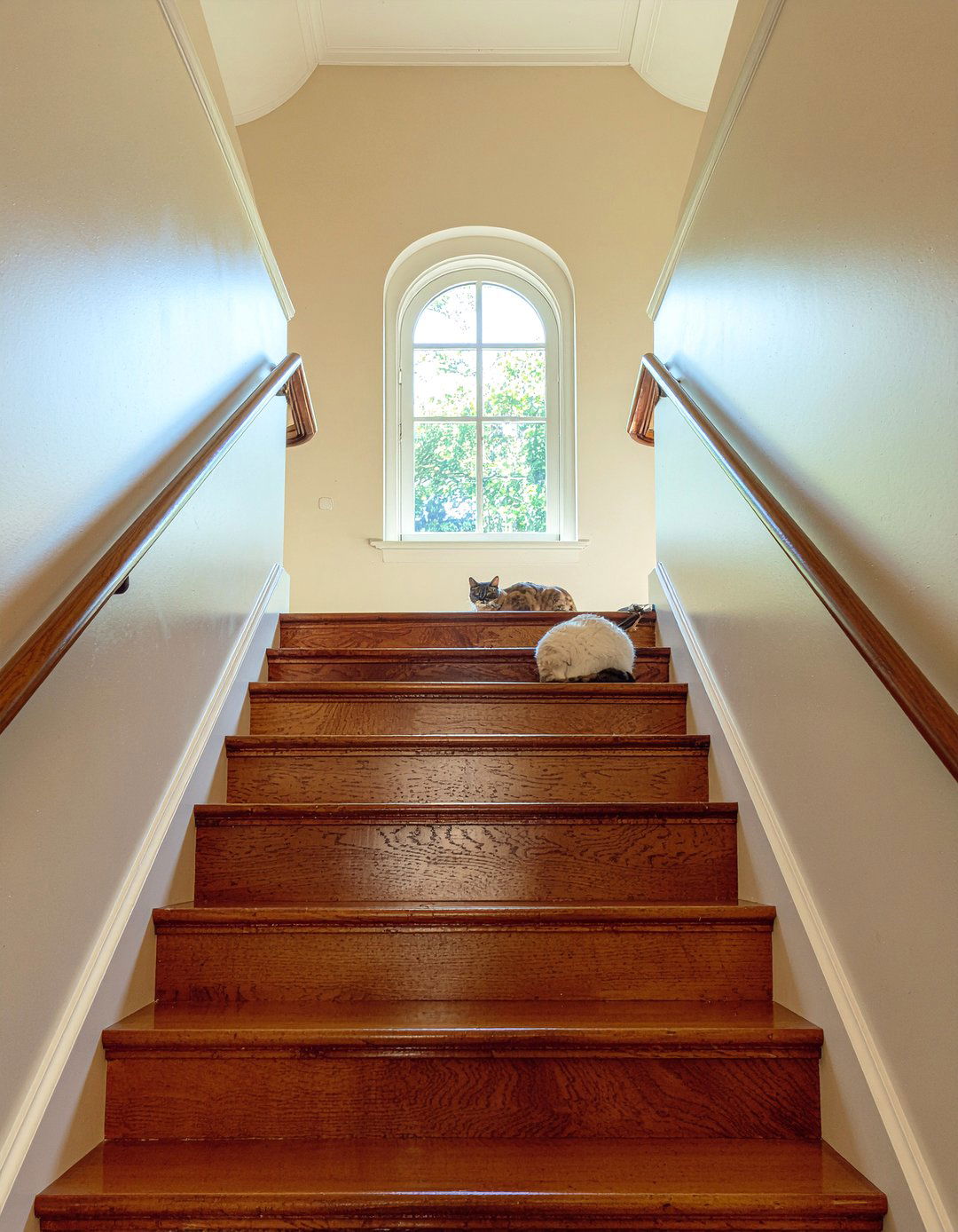 Cat Under Stair Nook - 30 cat living room ideas
