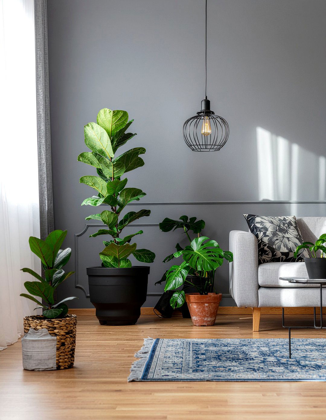 Charcoal Living Room Plants - 30 charcoal living room ideas