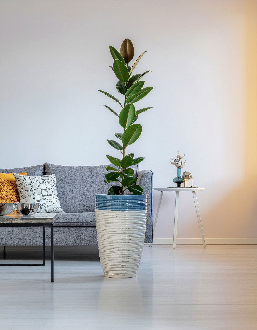 Chinese evergreen - 30 living room low light plants