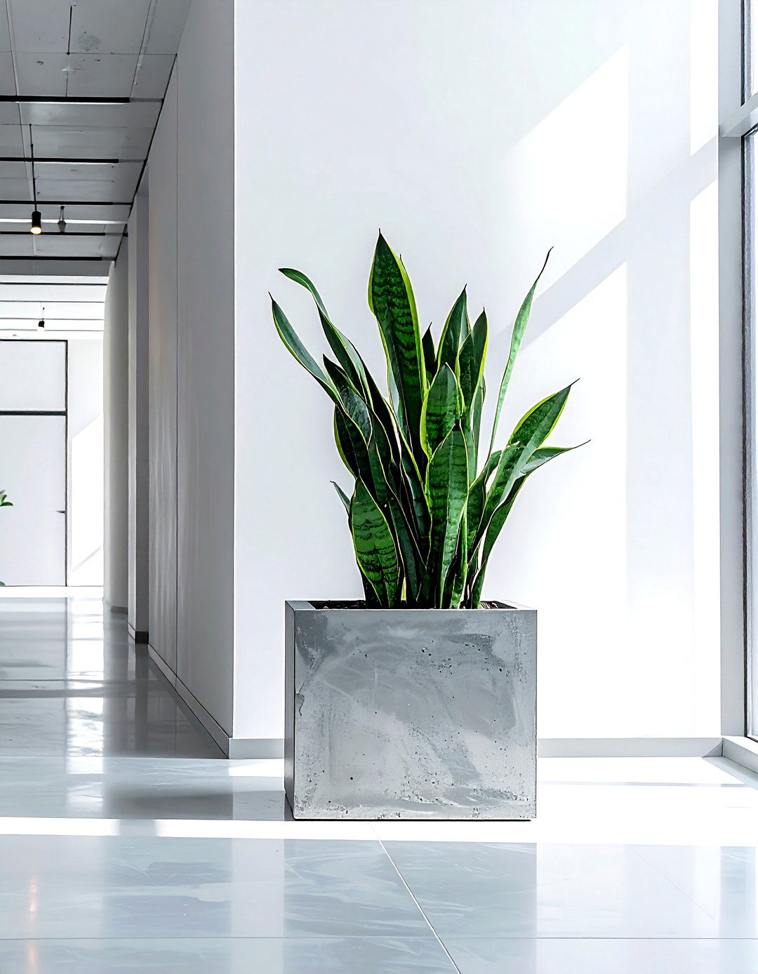 Concrete Planter Box - 30 box decor ideas