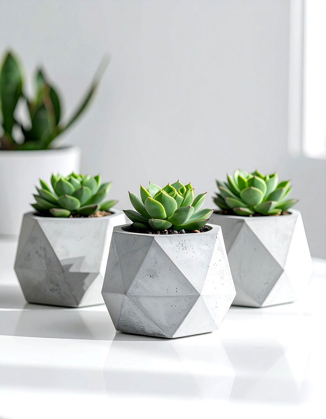 Concrete succulent planters - 30 handmade decor ideas