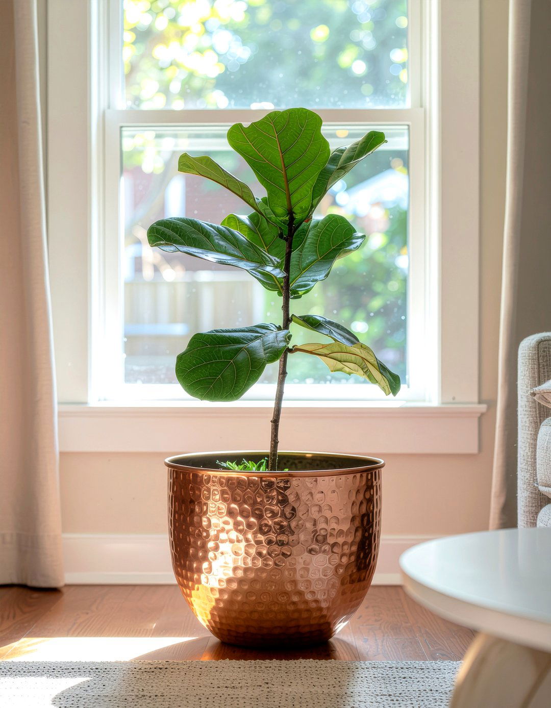 Copper indoor planter - 30 copper accent living room ideas