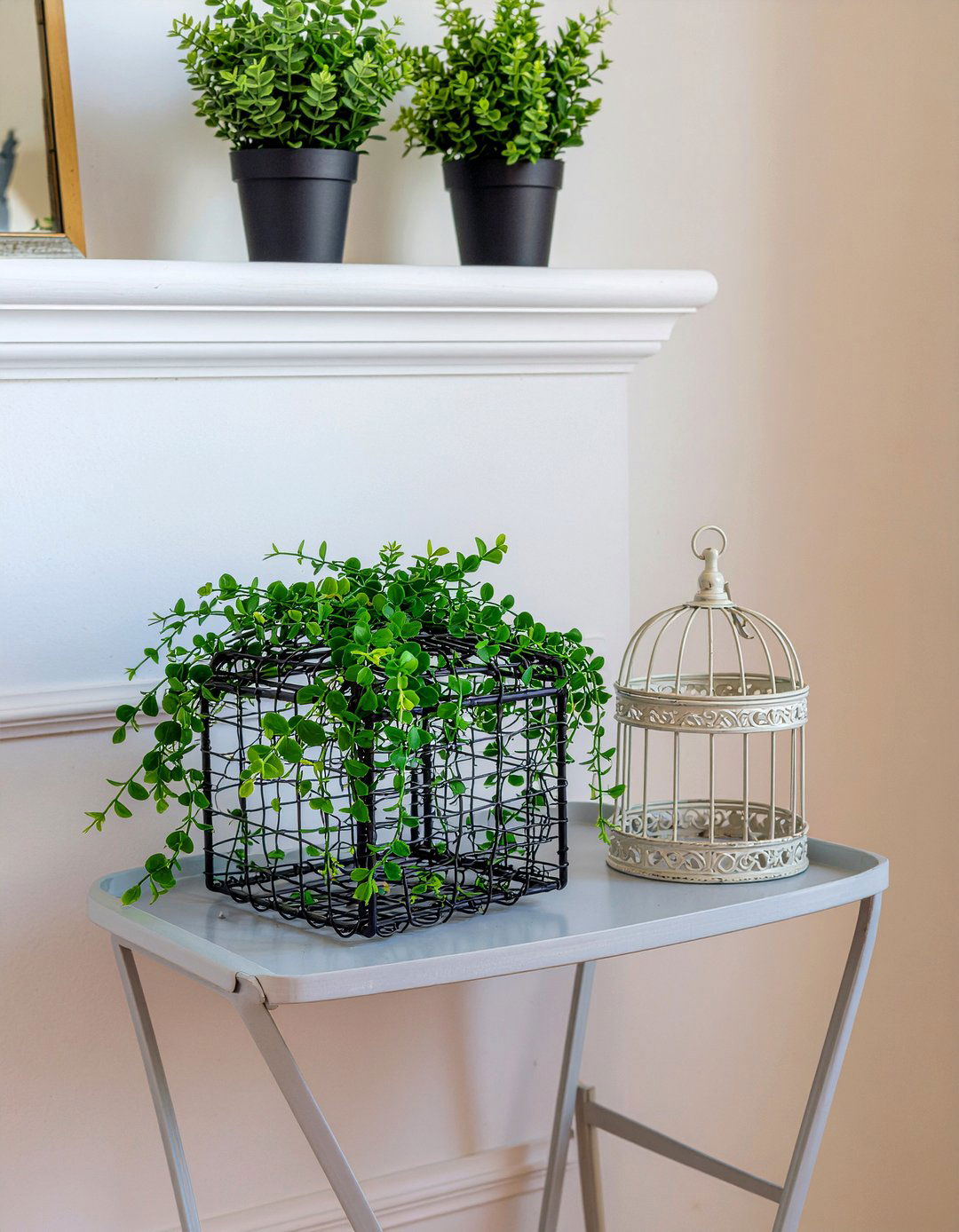 Creeping fig - 30 living room low light plants