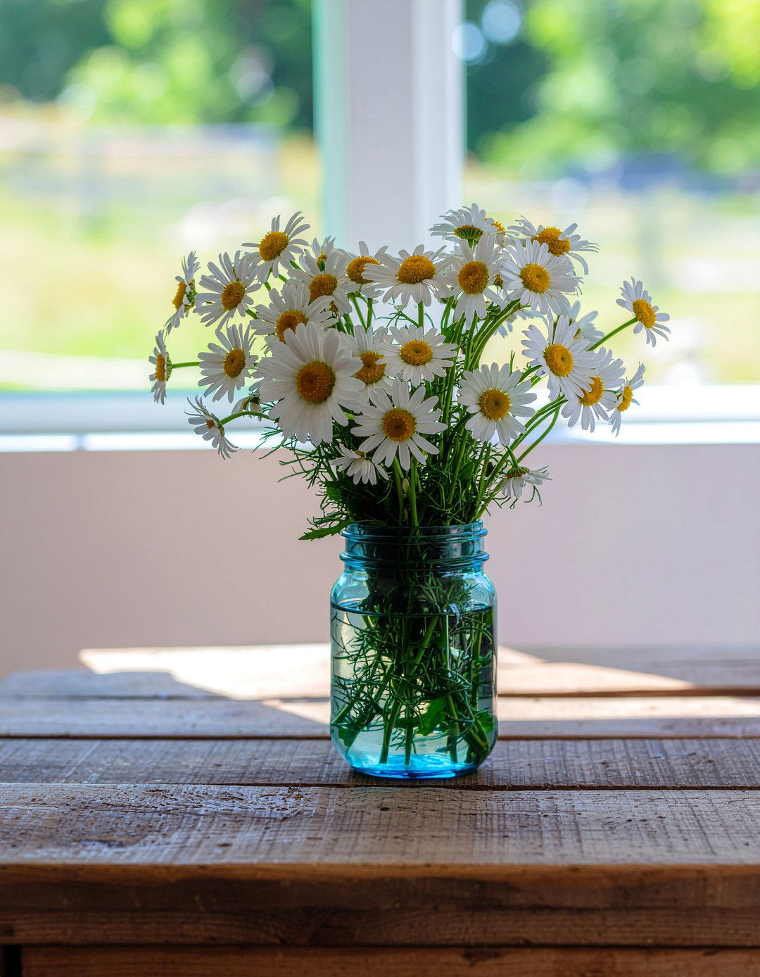 Daisy bunch farmhouse - 30 living room flower arrangements