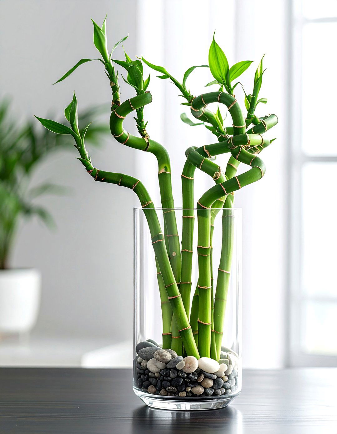 Desktop Lucky Bamboo - 30 office plant ideas