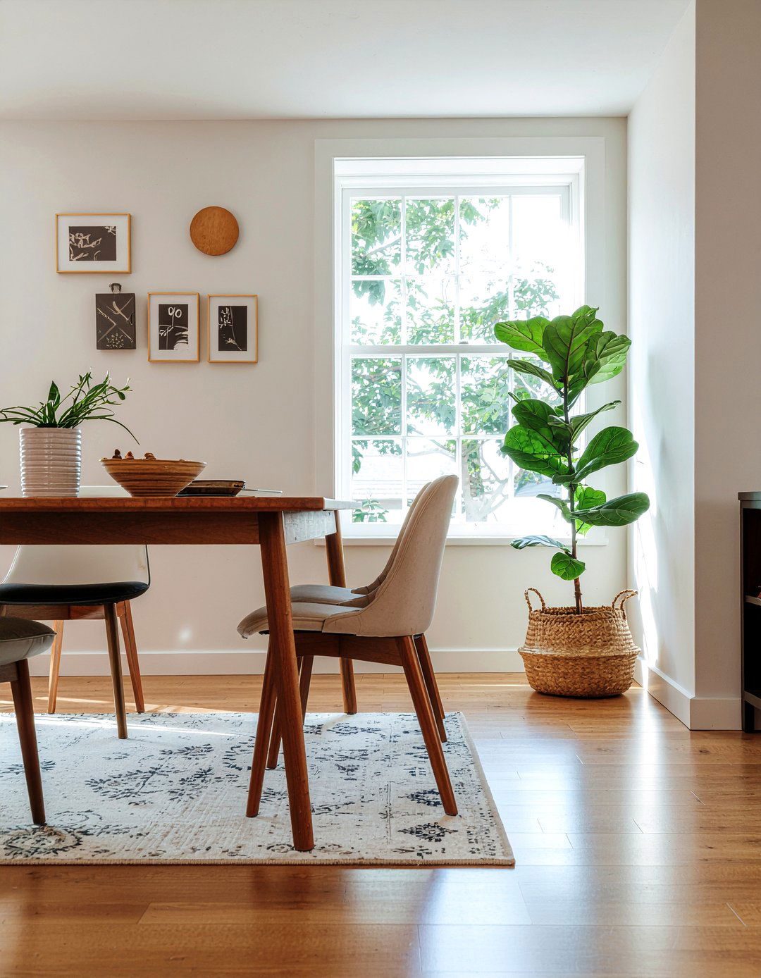 Dining Room Indoor Plants - 30 majestic dining room ideas