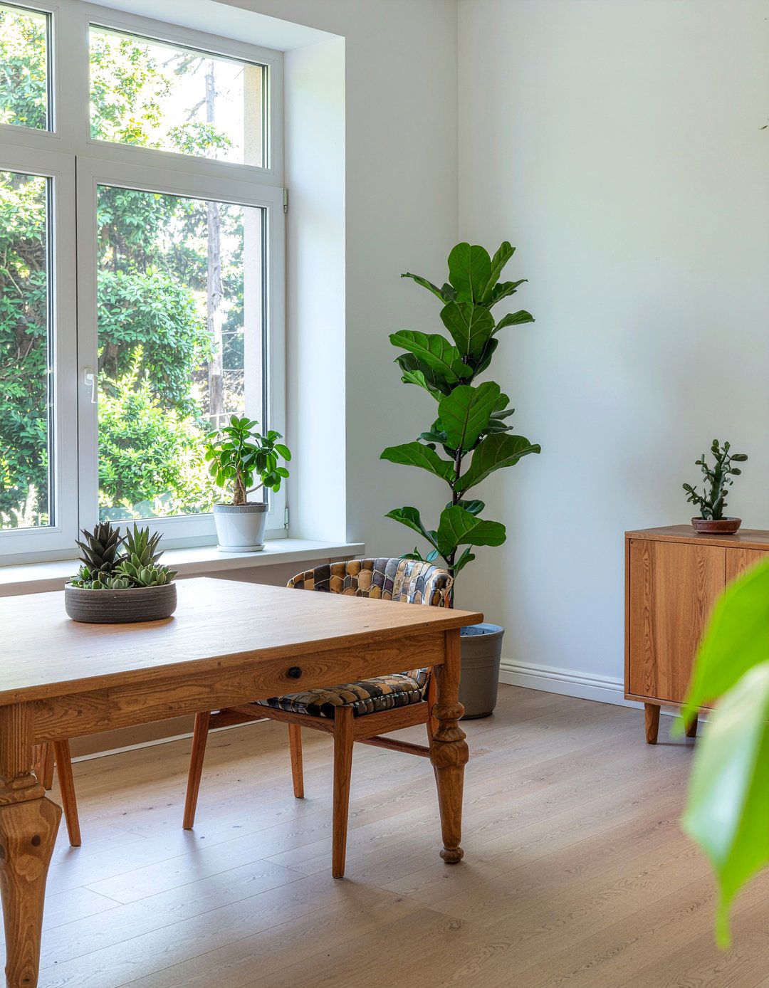 Dining Room Indoor Plants - 30 creative dining room ideas