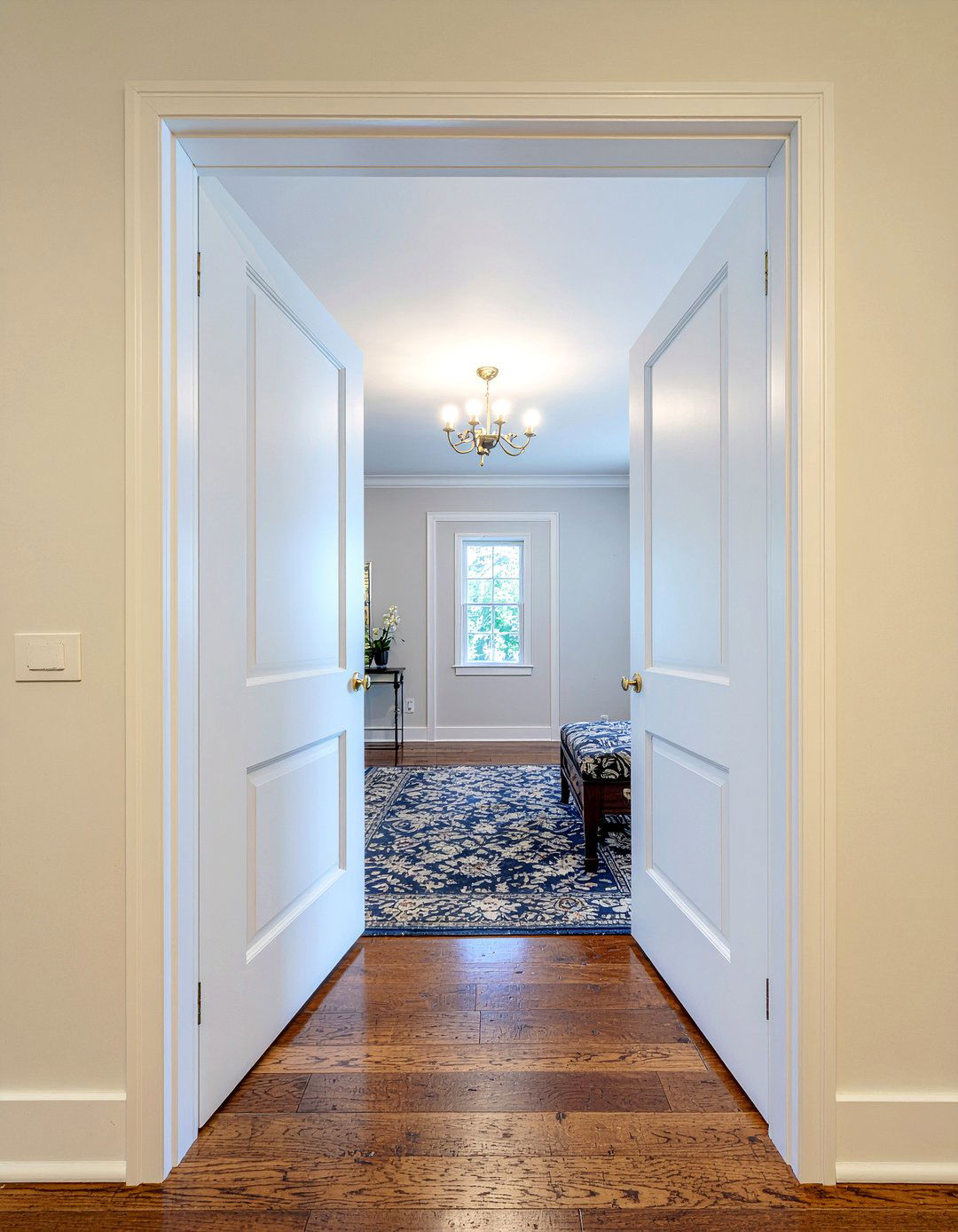 Double French Door - 30 bedroom closet doors