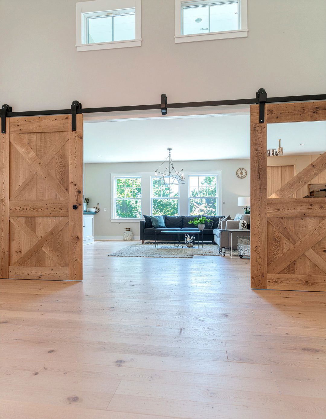 Double Sliding Barn Doors - 30 living room barn doors