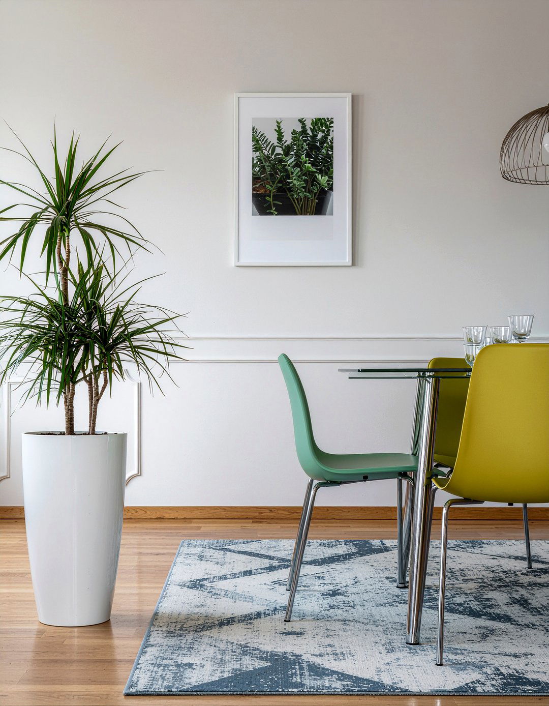 Dracaena marginata contemporary dining room - 30 dining room potted plant ideas