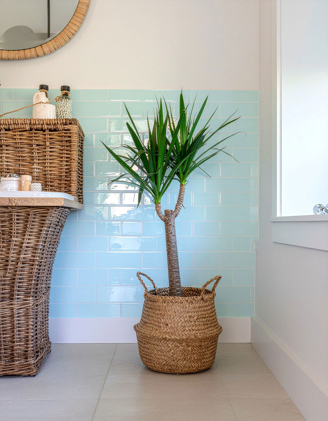 Dracaena - 30 bathroom plants that thrive in humidity
