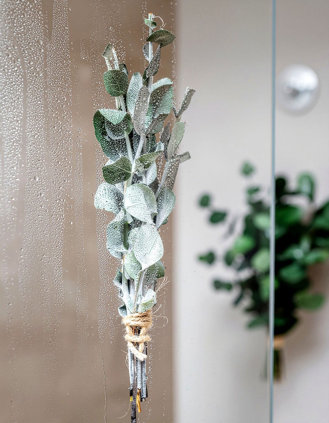 Dried eucalyptus shower bundle - 30 bathroom diffuser ideas
