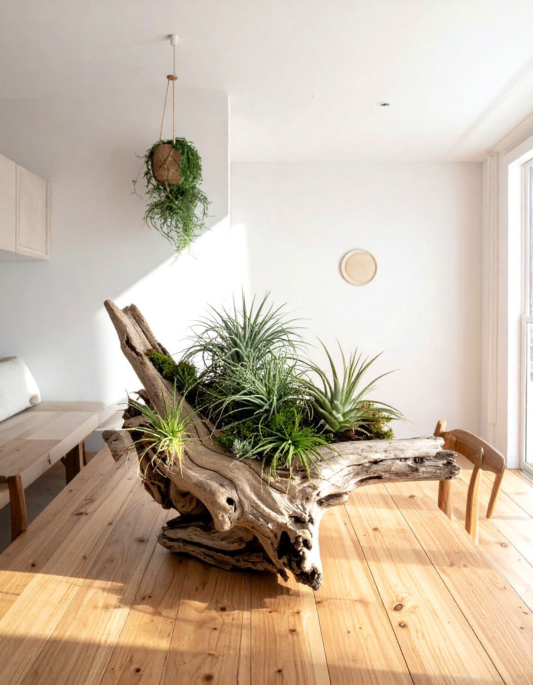 Driftwood And Air Plant Arrangement - 30 elaborate centerpiece dining ideas