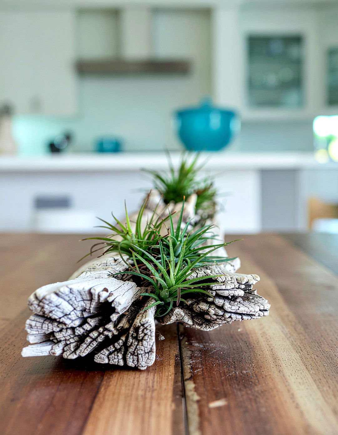 Driftwood Centerpiece - 30 low centerpiece dining ideas