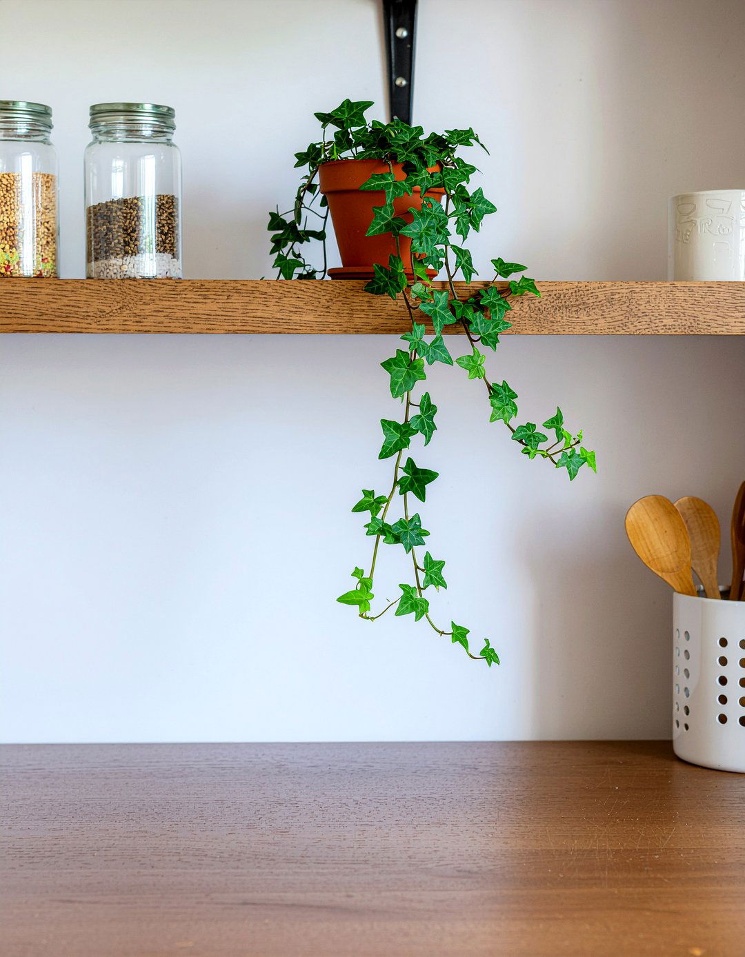 English ivy on kitchen shelf - 30 kitchen potted plant ideas