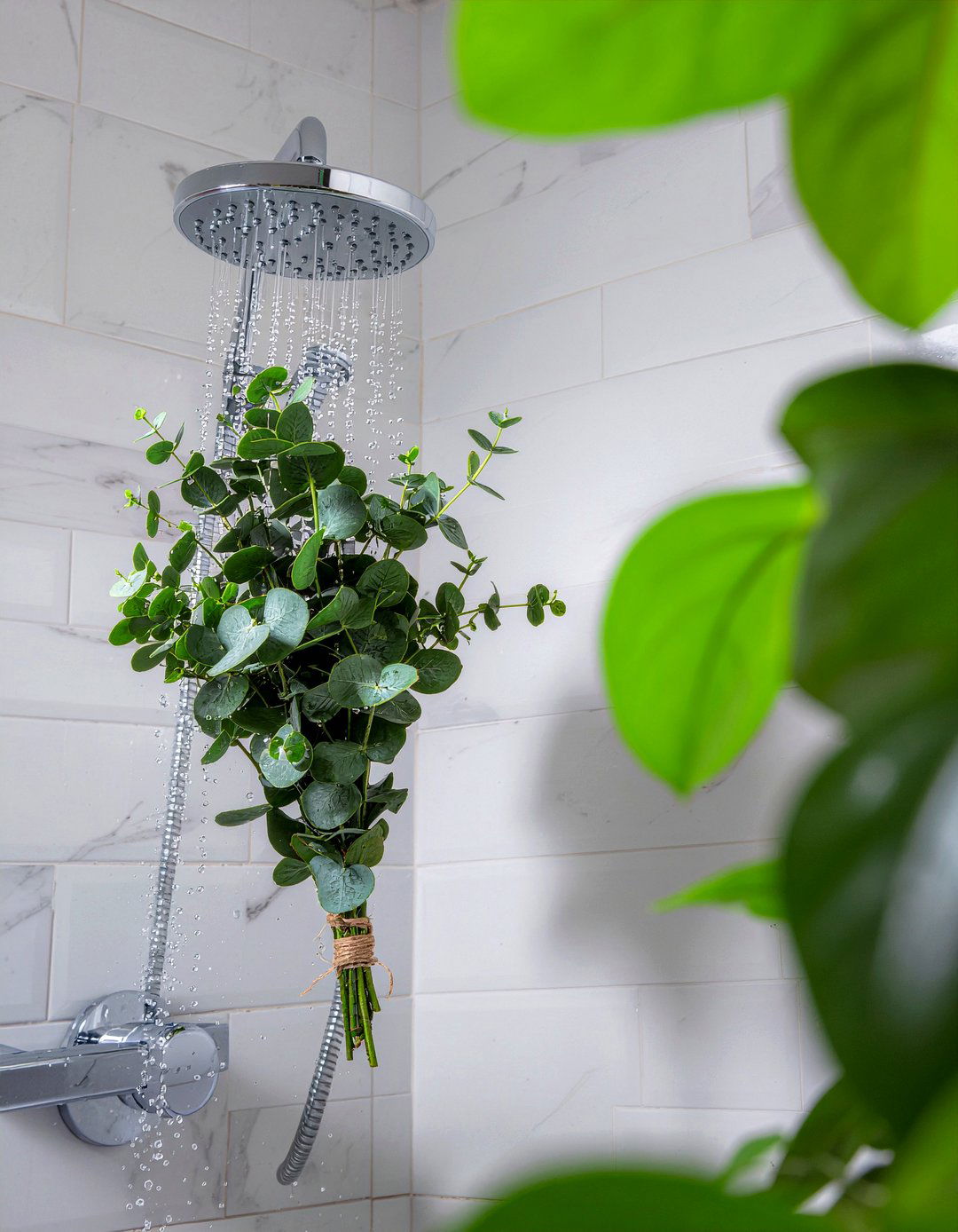 Eucalyptus Shower Bundle - 30 natural bathroom product ideas