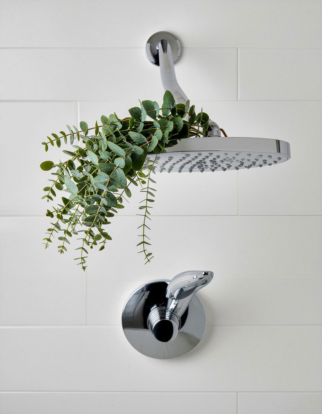 Eucalyptus bundle over shower head - 30 bathroom layering ideas