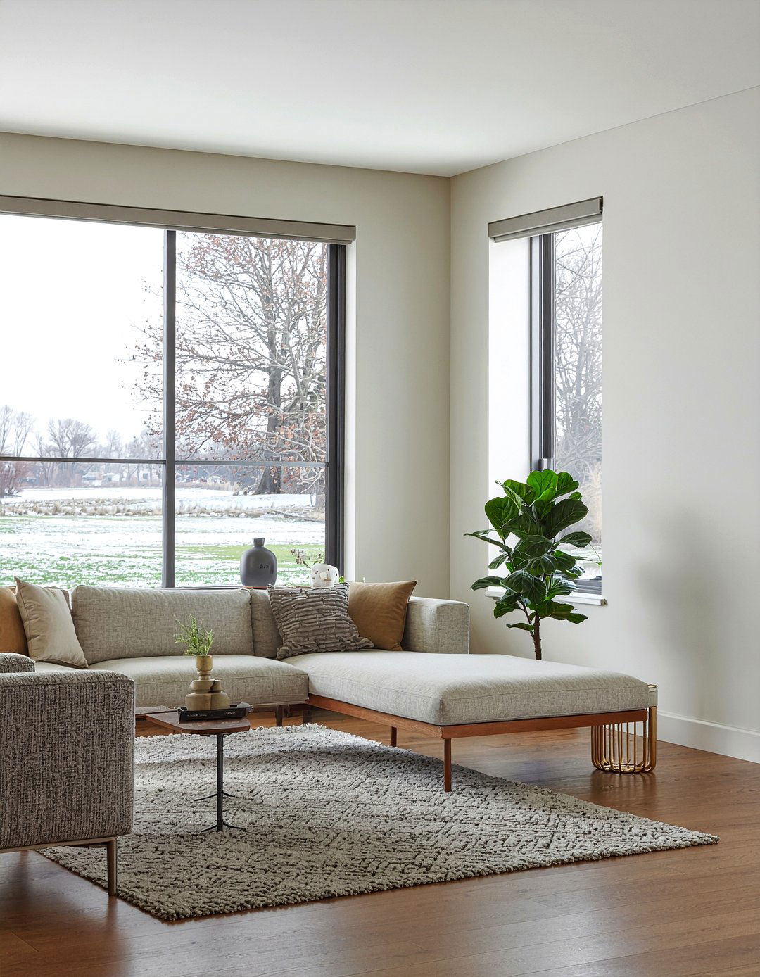 Faux wood blinds - 30 living room blinds